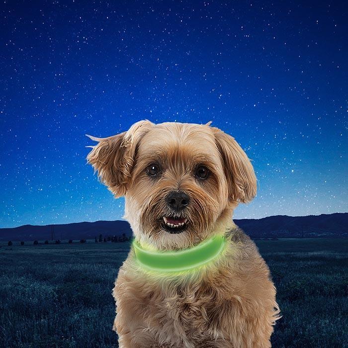 NiteDog Rechargeable LED Collar - Lime / Green 5