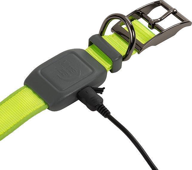 NiteDog Rechargeable LED Collar - M - lime / green 1
