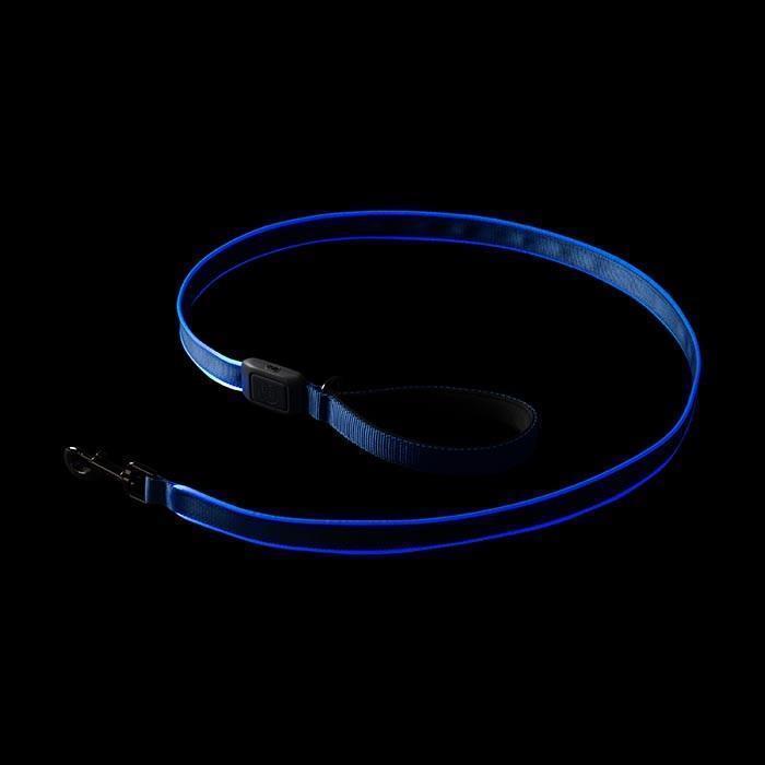 NiteDog Rechargeable LED Leash - Blue / Blue 3