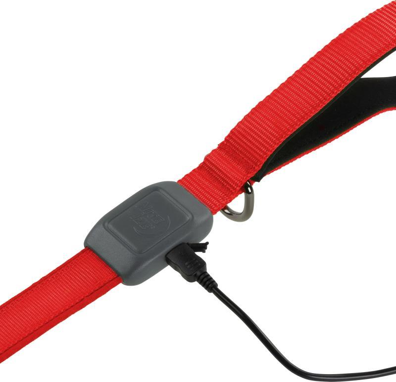 NiteDog Rechargeable LED Leash - Red / Red 3