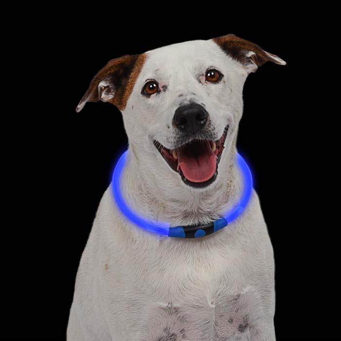 NiteHowl LED Safety Necklace - Blue 3
