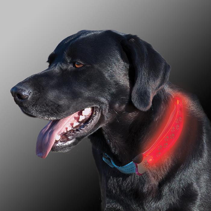 Nitedog LED Collar Cover - Grey 3