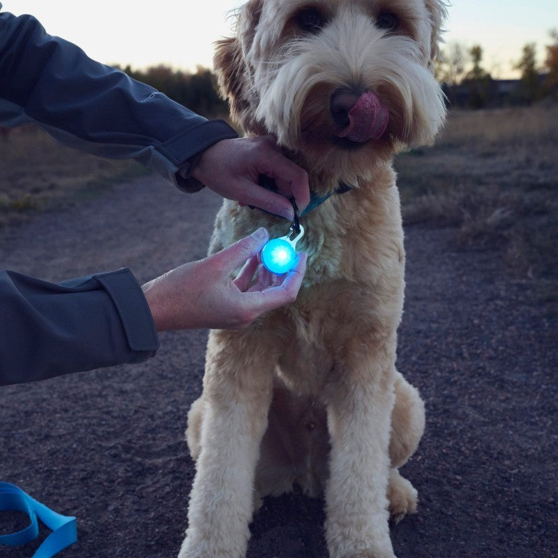 SpotLit Rechargeable Collar Light - blue 1