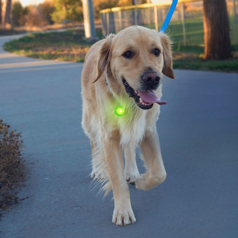 SpotLit Rechargeable Collar Light - green 1