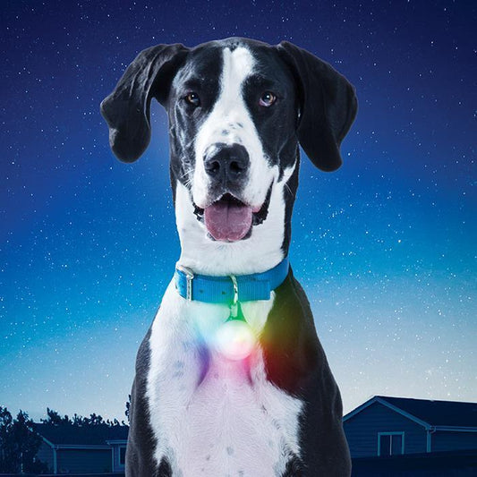 SpotLit XL Rechargeable Collar Light - Disc-O Select - Not Applicable 1