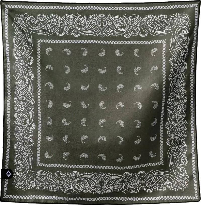 Bandana Towel - paisley forest green 1