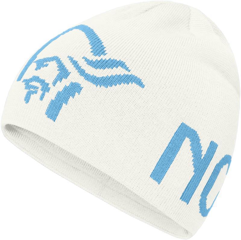 /29 Logo Beanie - Snowdrop / Aquarius 1