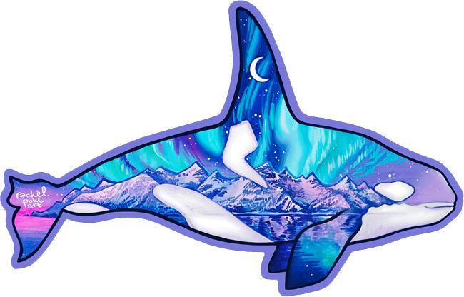 Aurora Orca - R. Pohl - not applicable 1