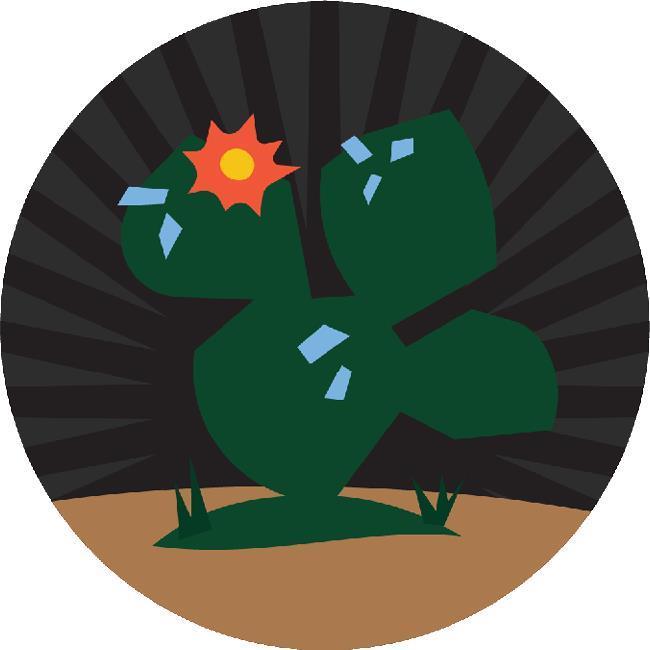 Cactus Blooms by TJ Smith - not applicable 1