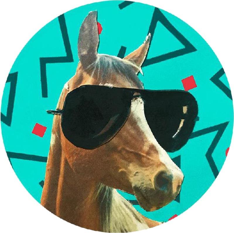 Cool Pony by K. Jones - not applicable 1