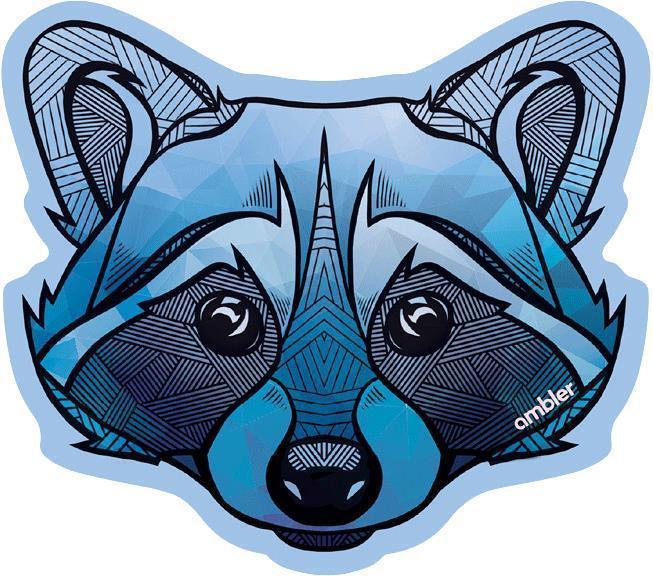 Racoon by Ambler - not applicable 1