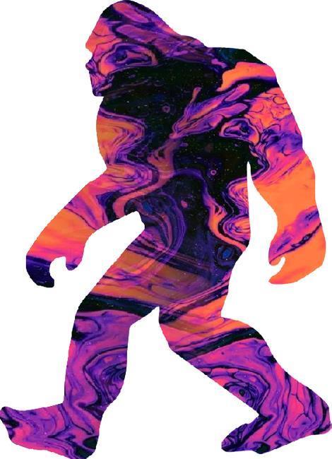 Sasquatch - Not Applicable 1