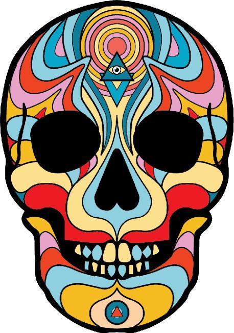 Skull - Not Applicable 1