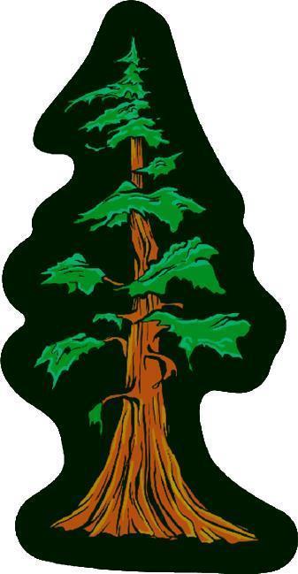 Wzrd Tree by A. Pollard - not applicable 1