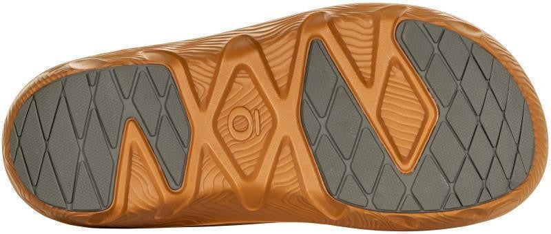 Whakata Coast - Unisex - fall foliage 1