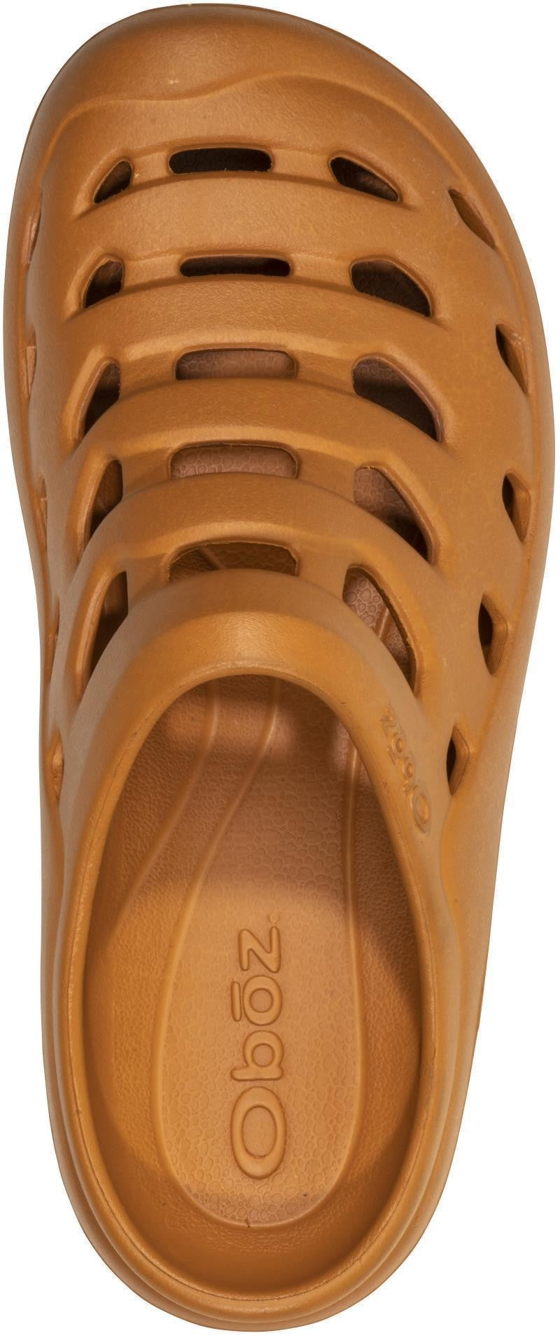 Whakata Coast - Unisex - fall foliage 1