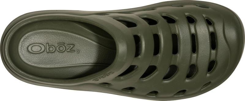 Whakata Coast - Unisex - olive branch 1