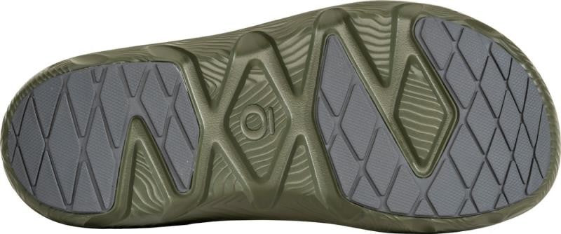 Whakata Coast - Unisex - olive branch 1
