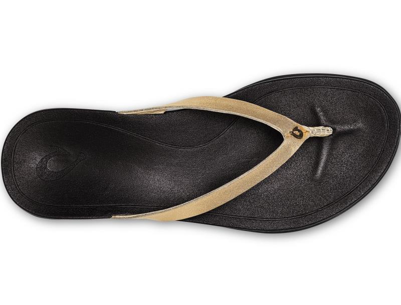 HoOpio Leather - Womens - Gold / Black 2