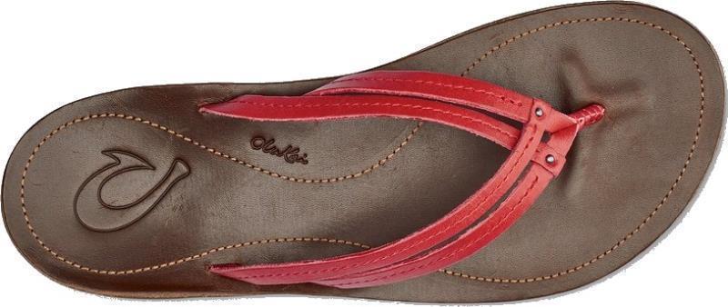 Ui - Womens - Ohia Red / Dark Java 2