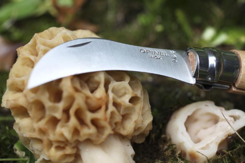 No.8 Mushroom Knife - Beechwood 8