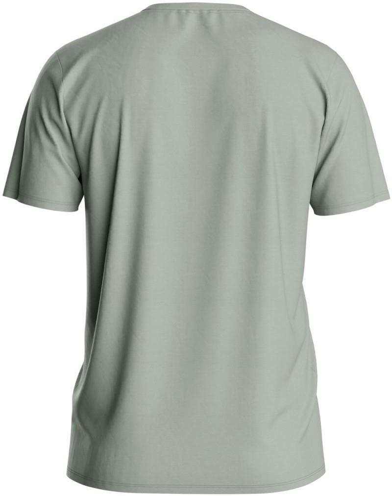 120 Cool Tec Choose Mountain T-Shirt - Mens - green sage 1