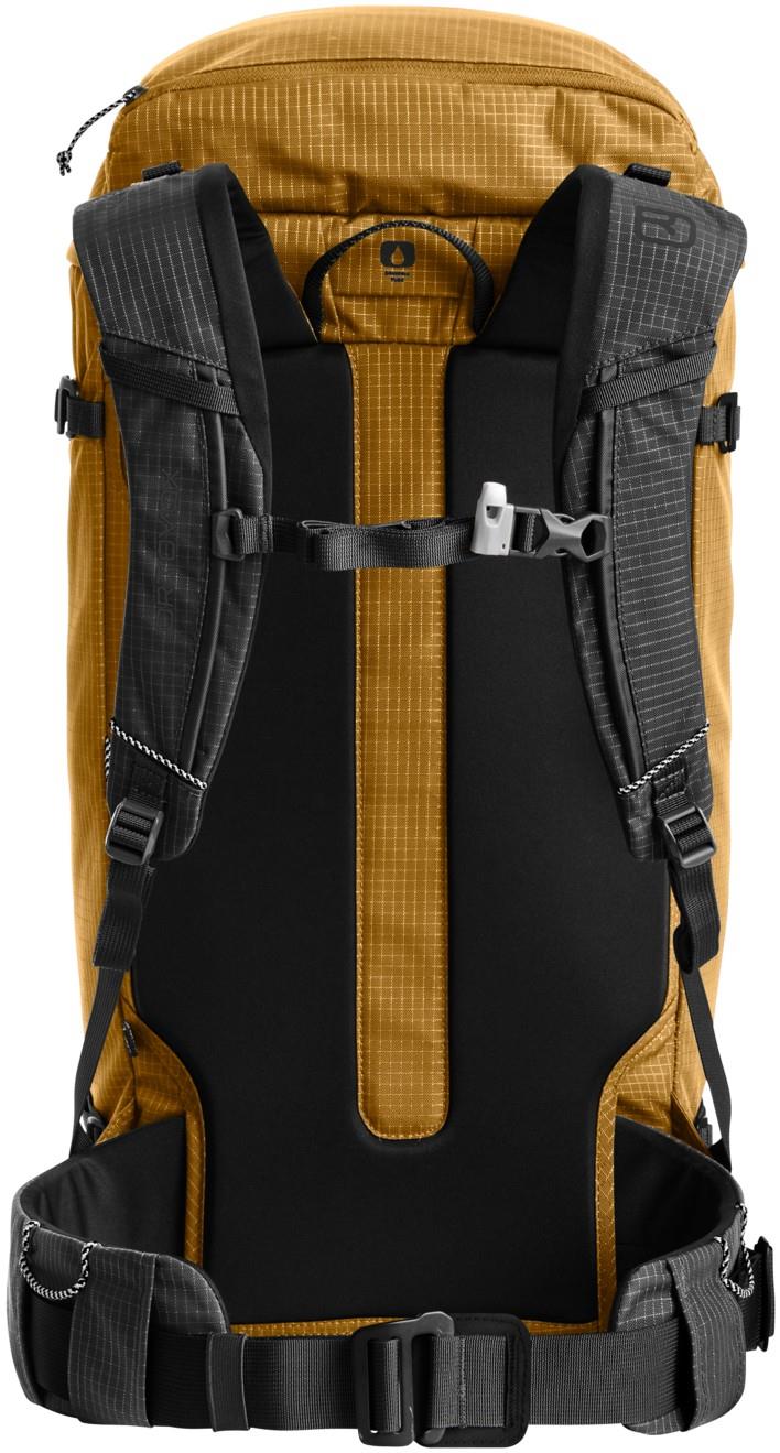 Trad 35 - wild cumin 1