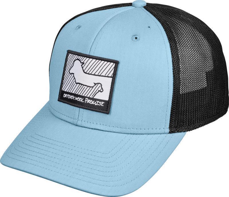 Wool Promise Trucker Cap - light blue 1