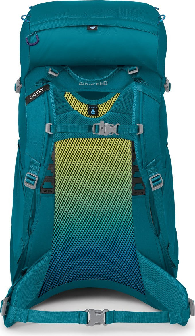 Ace 38 - Kids - blue spikemoss / deep peyto 1