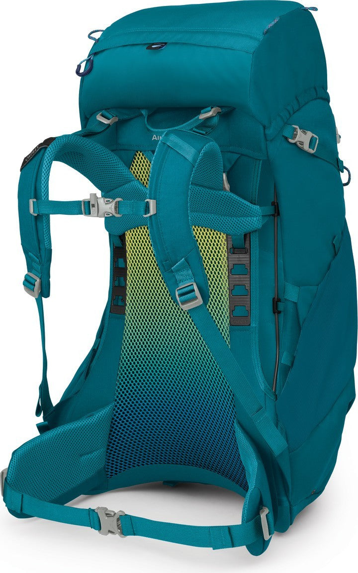Ace 38 - Kids - blue spikemoss / deep peyto 1