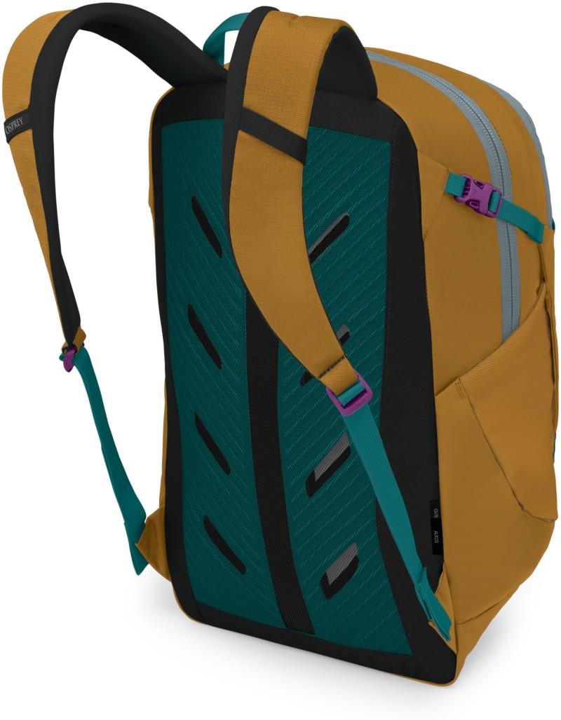 Axis 24 - barley brown 1