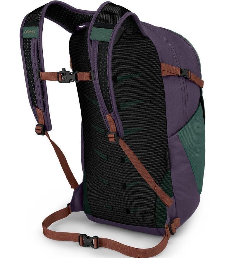 Daylite Plus - axo green / enchantment purple 1