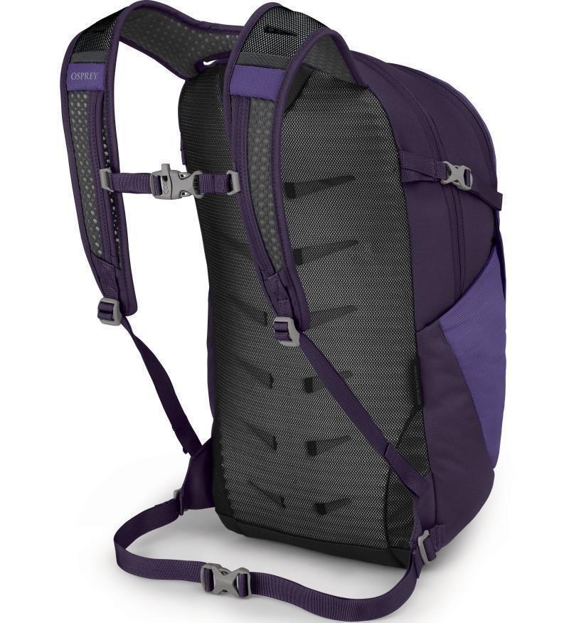 Daylite Plus - dream purple 1