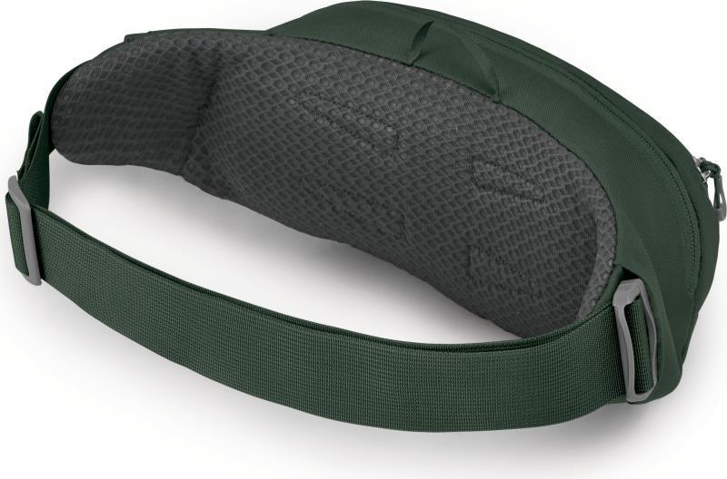 Daylite Waist Pack - Green Belt / Green Canopy 3