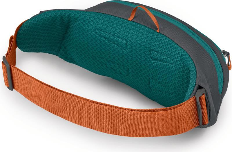 Daylite Waist Pack - Tumbleweed / Tunnel Vision 3