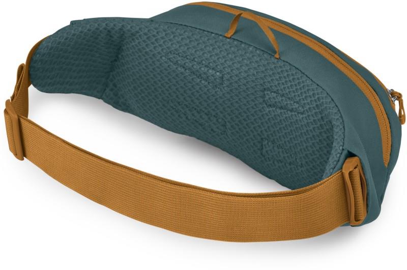 Daylite Waist Pack - torrent blue 1