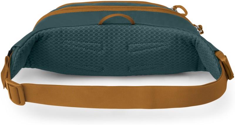 Daylite Waist Pack - torrent blue 1