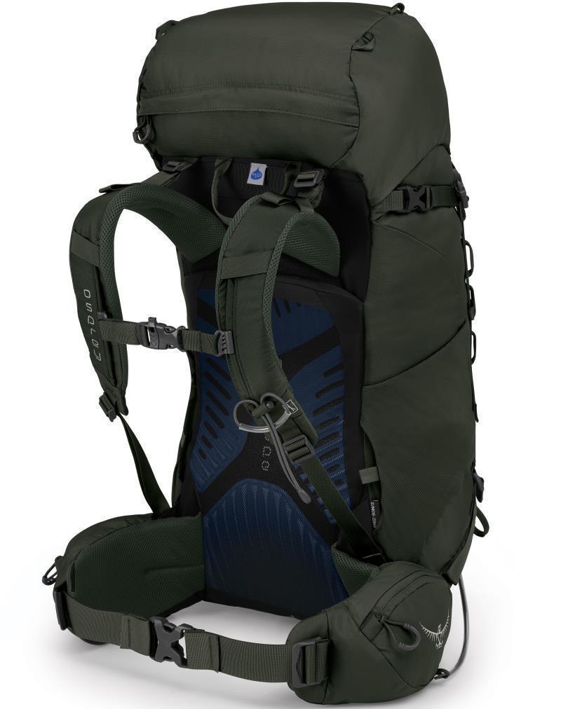 Kestrel 38 - Mens - picholine green 1