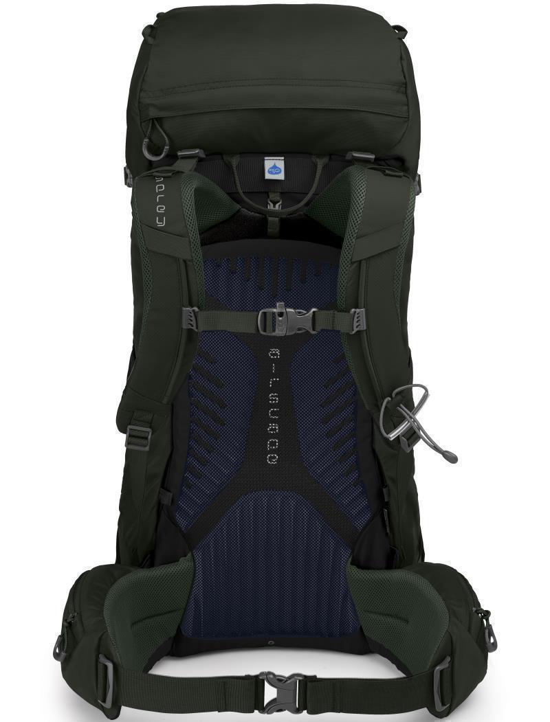 Kestrel 38 - Mens - picholine green 1