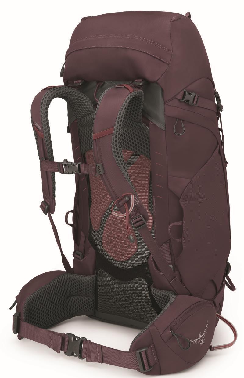 Kyte 48 - Womens - Elderberry Purple 2