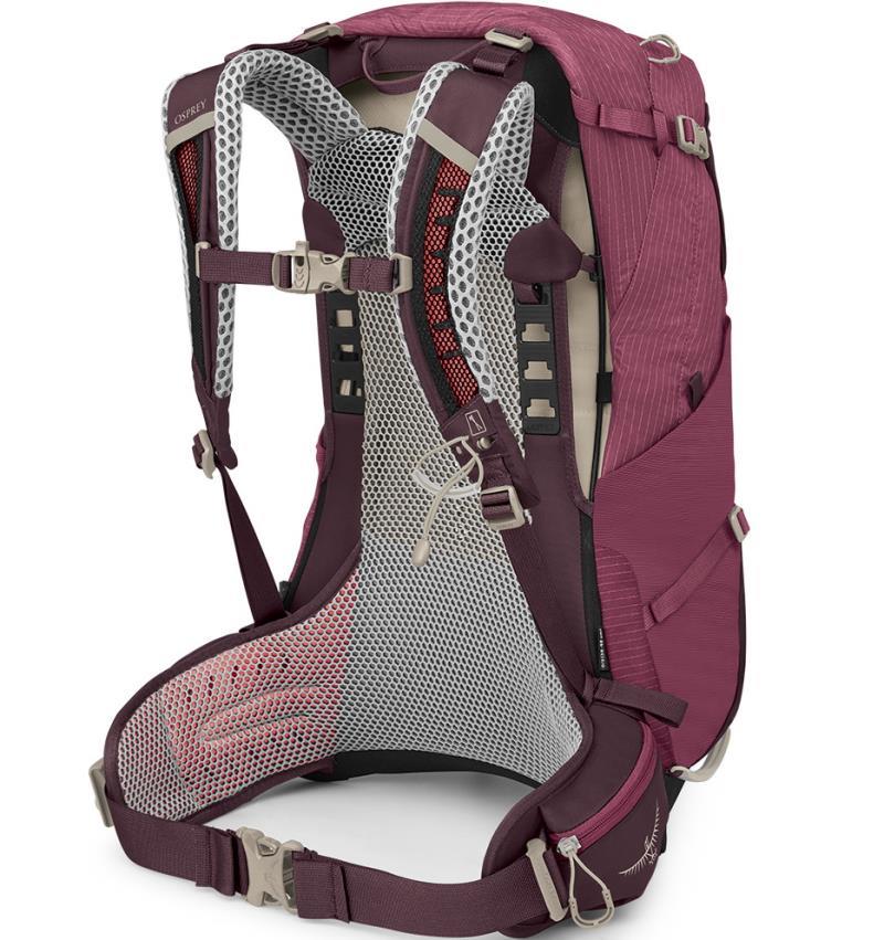 Sirrus 24 - Womens - Elderberry Purple / Chiru Tan 2