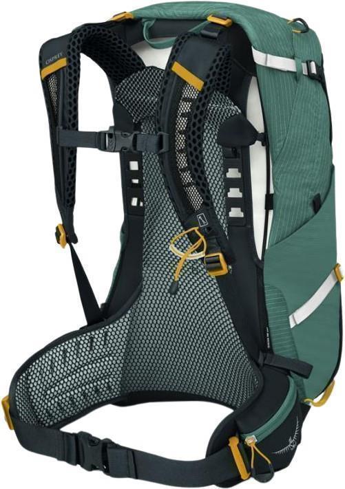 Sirrus 24 - Womens - Succulent Green 2