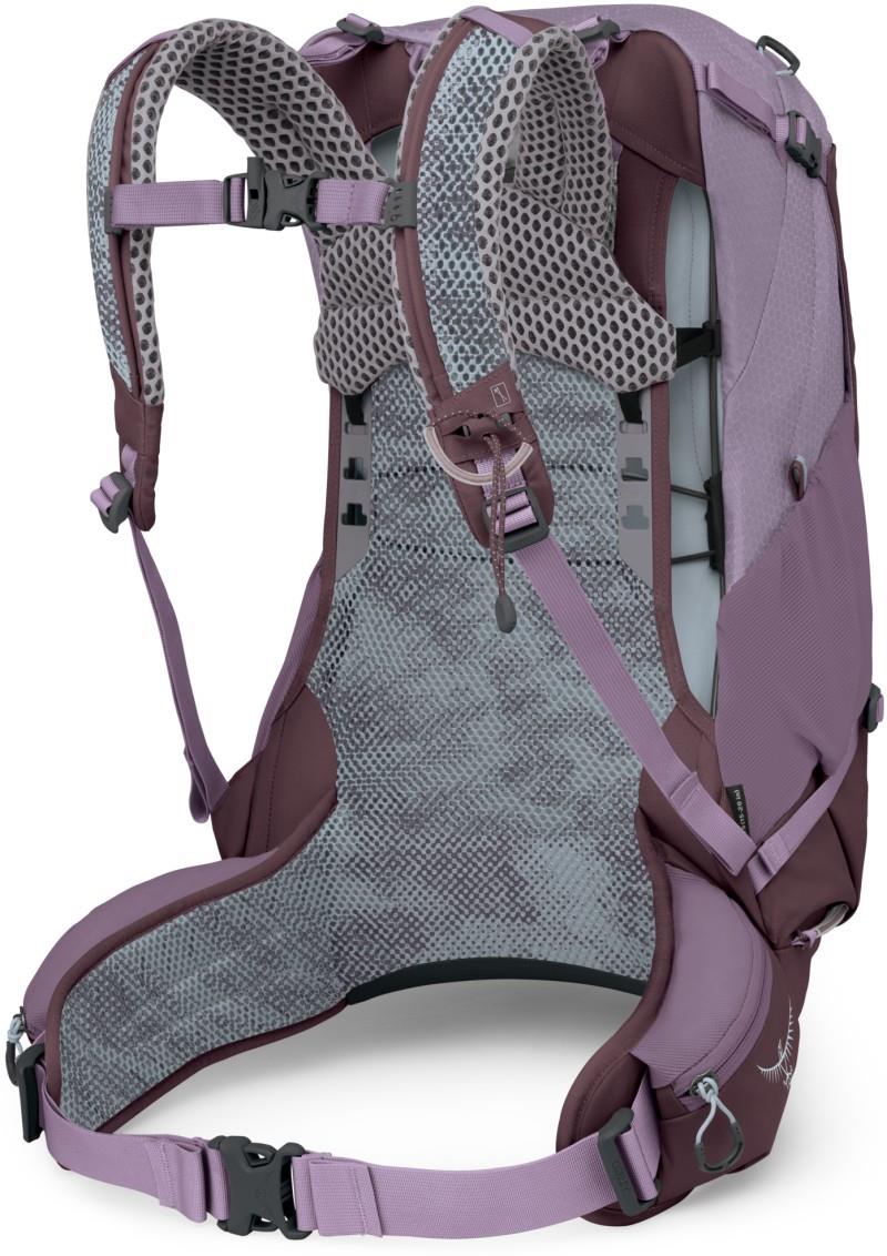 Sirrus 24 - Womens - purple dusk 1