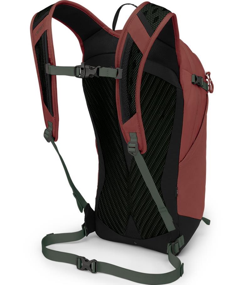 Sportlite 15 - Acorn / Bonsai 2