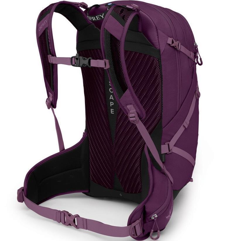 Sportlite 25 - Aubergine Purple 2