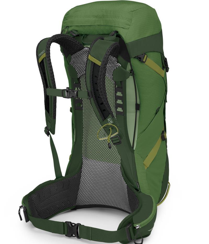 Stratos 36 - Mens - Seaweed / Matcha Green 2
