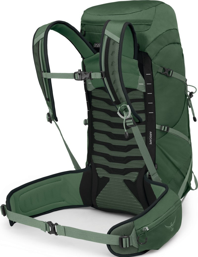 Talon 33 Extended Fit - Mens - green canopy / pine leaf 1