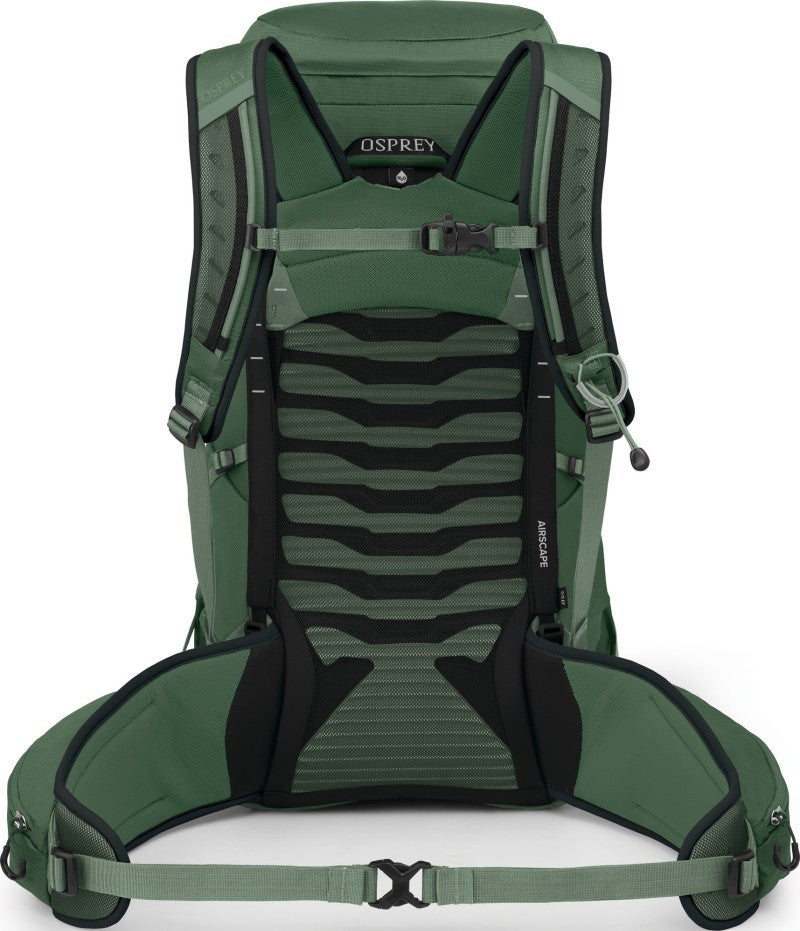 Talon 33 Extended Fit - Mens - green canopy / pine leaf 1