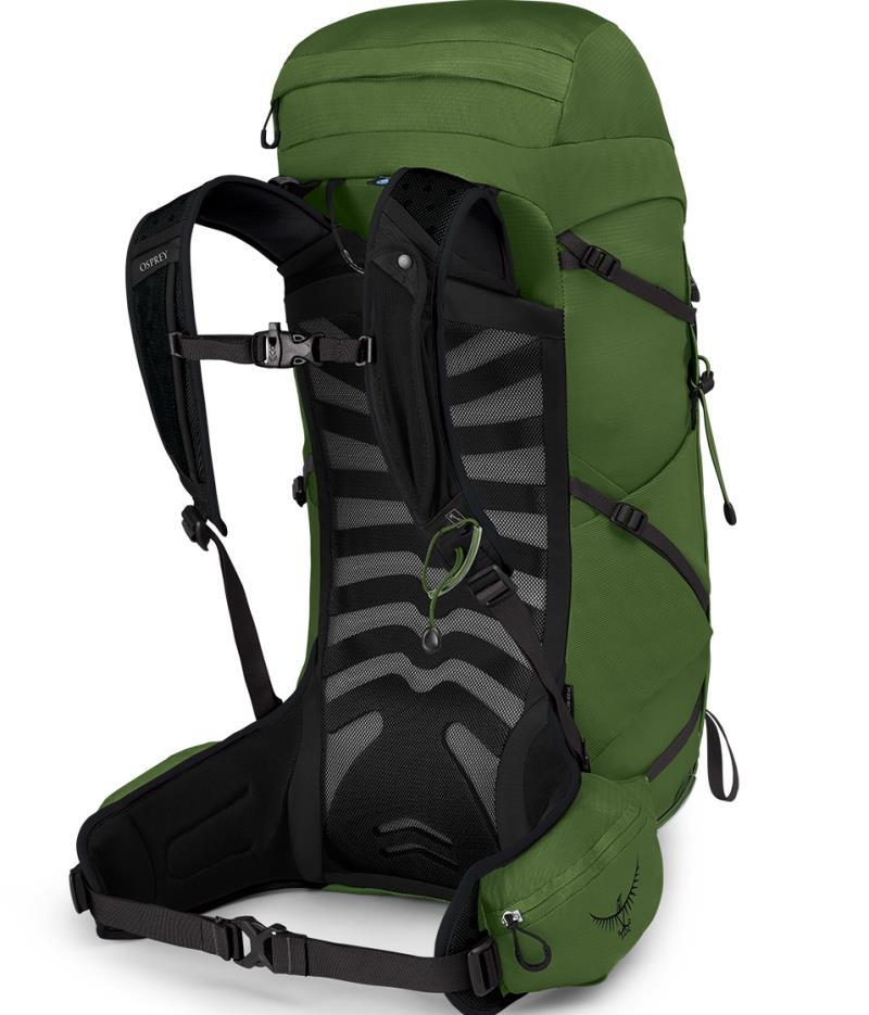 Talon 33 - Mens - Green Belt / Black 2