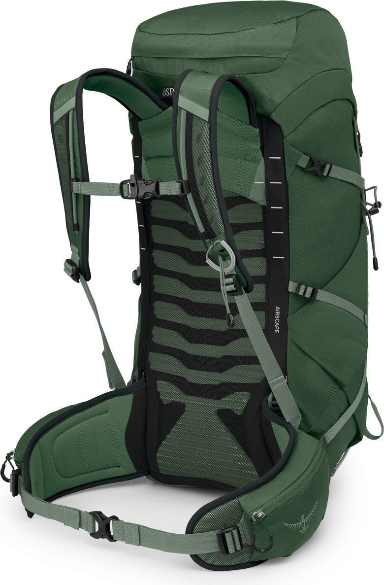 Talon 33 - Mens - green canopy / pine leaf 1